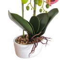 Orhidee cu aspect natural in ghiveci ceramic, 50 cm, Naimeed D5819, Mov Orhidee cu aspect natural in ghiveci ceramic, 50 cm, Naimeed D5819, Mov