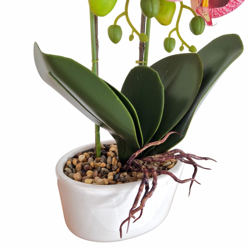 Orhidee cu aspect natural in ghiveci ceramic, 50 cm, Naimeed D5819, Mov Orhidee cu aspect natural in ghiveci ceramic, 50 cm, Naimeed D5819, Mov