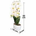 Orhidee cu aspect natural in ghiveci ceramic, 50 cm, Naimeed D5819, Alb Orhidee cu aspect natural in ghiveci ceramic, 50 cm, Naimeed D5819, Alb