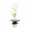 Orhidee cu aspect natural in ghiveci ceramic, 46 cm, Naimeed D5820, Alb