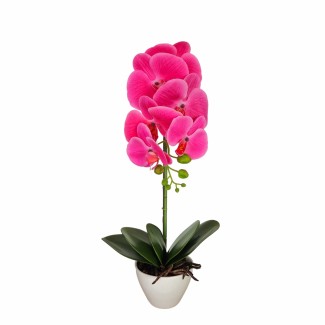 Orhidee cu aspect natural in ghiveci ceramic, 46 cm, Naimeed D5820, Mov Orhidee cu aspect natural in ghiveci ceramic, 46 cm, Naimeed D5820, Mov