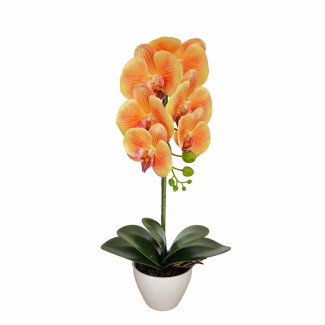 Orhidee cu aspect natural in ghiveci ceramic, 46 cm, Naimeed D5820, Portocaliu Orhidee cu aspect natural in ghiveci ceramic, 46 cm, Naimeed D5820, Portocaliu