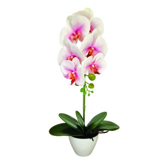 Orhidee cu aspect natural in ghiveci ceramic, 46 cm, Naimeed D5820, Alb Roziu Orhidee cu aspect natural in ghiveci ceramic, 46 cm, Naimeed D5820, Alb Roziu