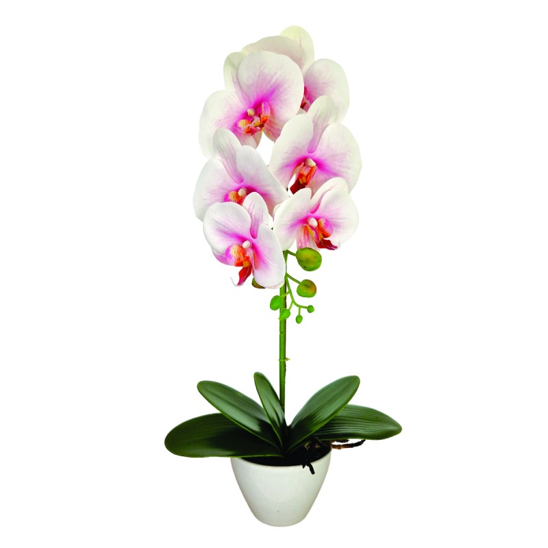 Orhidee cu aspect natural in ghiveci ceramic, 46 cm, Naimeed D5820, Alb Roziu Orhidee cu aspect natural in ghiveci ceramic, 46 cm, Naimeed D5820, Alb Roziu
