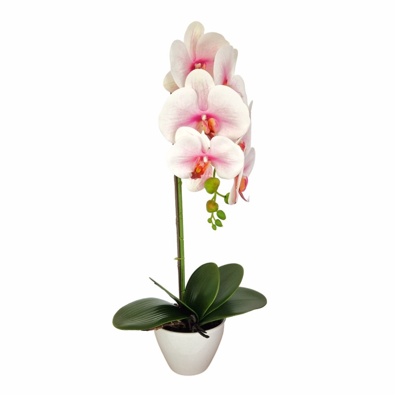 Orhidee cu aspect natural in ghiveci ceramic, 46 cm, Naimeed D5820, Alb Roziu Orhidee cu aspect natural in ghiveci ceramic, 46 cm, Naimeed D5820, Alb Roziu
