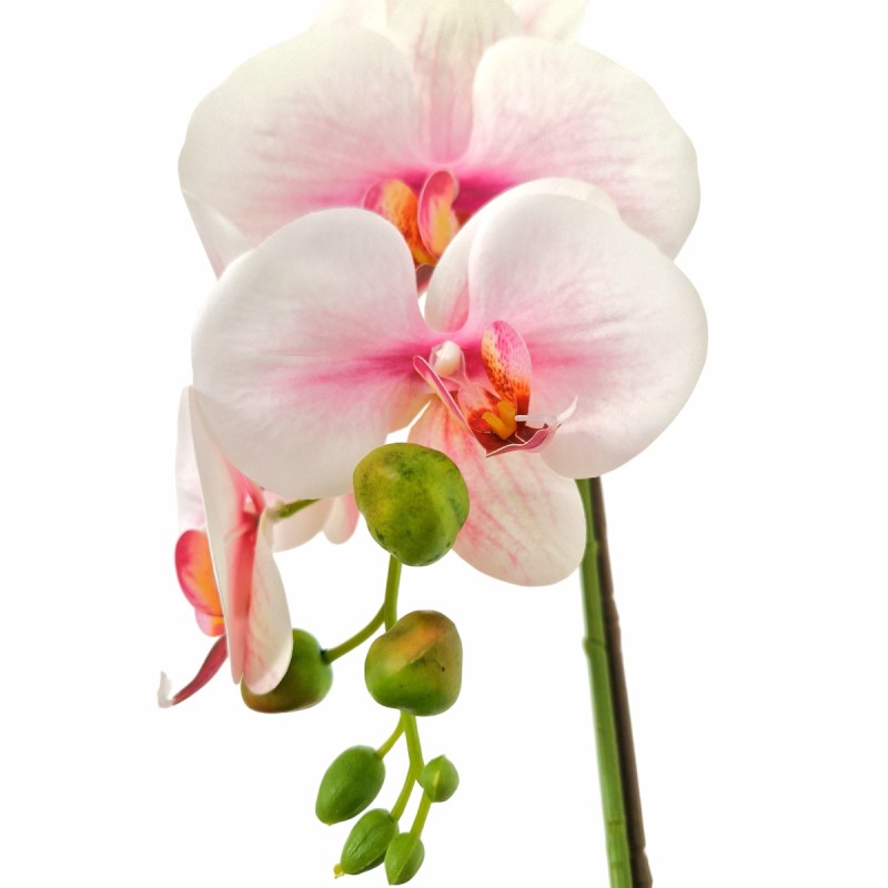 Orhidee cu aspect natural in ghiveci ceramic, 46 cm, Naimeed D5820, Alb Roziu Orhidee cu aspect natural in ghiveci ceramic, 46 cm, Naimeed D5820, Alb Roziu