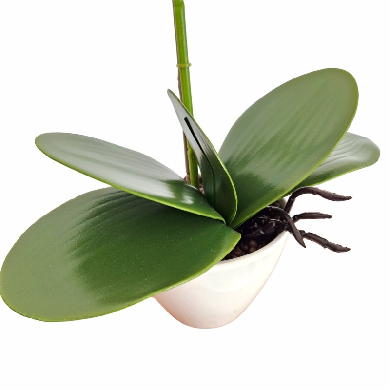 Orhidee cu aspect natural in ghiveci ceramic, 46 cm, Naimeed D5820, Alb Roziu Orhidee cu aspect natural in ghiveci ceramic, 46 cm, Naimeed D5820, Alb Roziu