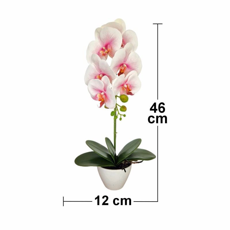 Orhidee cu aspect natural in ghiveci ceramic, 46 cm, Naimeed D5820, Alb Roziu Orhidee cu aspect natural in ghiveci ceramic, 46 cm, Naimeed D5820, Alb Roziu