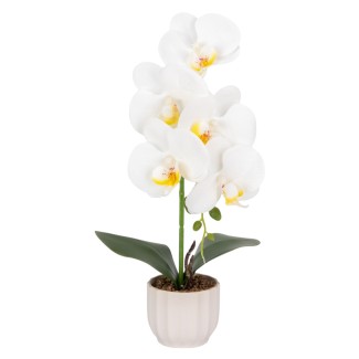 Orhidee cu aspect natural in ghiveci ceramic, 42 cm, Naimeed D6880, Alb