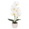 Orhidee cu aspect natural in ghiveci ceramic, 42 cm, Naimeed D6880, Alb