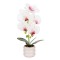 Orhidee cu aspect natural in ghiveci ceramic, 40 cm, Naimeed D6887, Alb
