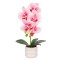 Orhidee cu aspect natural in ghiveci ceramic, 40 cm, Naimeed D6888, Alb-roz