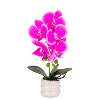 Orhidee cu aspect natural in ghiveci ceramic, 40 cm, Naimeed D6889, Fucsia