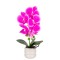 Orhidee cu aspect natural in ghiveci ceramic, 40 cm, Naimeed D6889, Fucsia