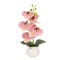 Orhidee cu aspect natural in ghiveci ceramic, 49 cm, Naimeed D6891, Roz