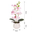 Orhidee cu aspect natural in ghiveci ceramic, 49 cm, Naimeed D6892, Alb-roz Orhidee cu aspect natural in ghiveci ceramic, 49 cm, Naimeed D6892, Alb-roz