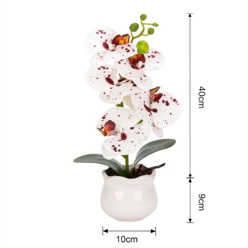 Orhidee cu aspect natural in ghiveci ceramic, 49 cm, Naimeed D6893, Alb-bordo Orhidee cu aspect natural in ghiveci ceramic, 49 cm, Naimeed D6893, Alb-bordo