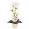 Orhidee cu aspect natural in ghiveci ceramic, 49 cm, Naimeed D6895, Alb