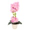 Orhidee cu aspect natural in ghiveci ceramic, 49 cm, Naimeed D6896, Roz