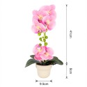 Orhidee cu aspect natural in ghiveci ceramic, 49 cm, Naimeed D6896, Roz Orhidee cu aspect natural in ghiveci ceramic, 49 cm, Naimeed D6896, Roz