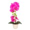 Orhidee cu aspect natural in ghiveci ceramic, 49 cm, Naimeed D6897, Fucsia