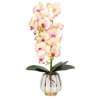 Orhidee cu aspect natural in ghiveci ceramic, 79 cm, Naimeed D6901, Galben pal