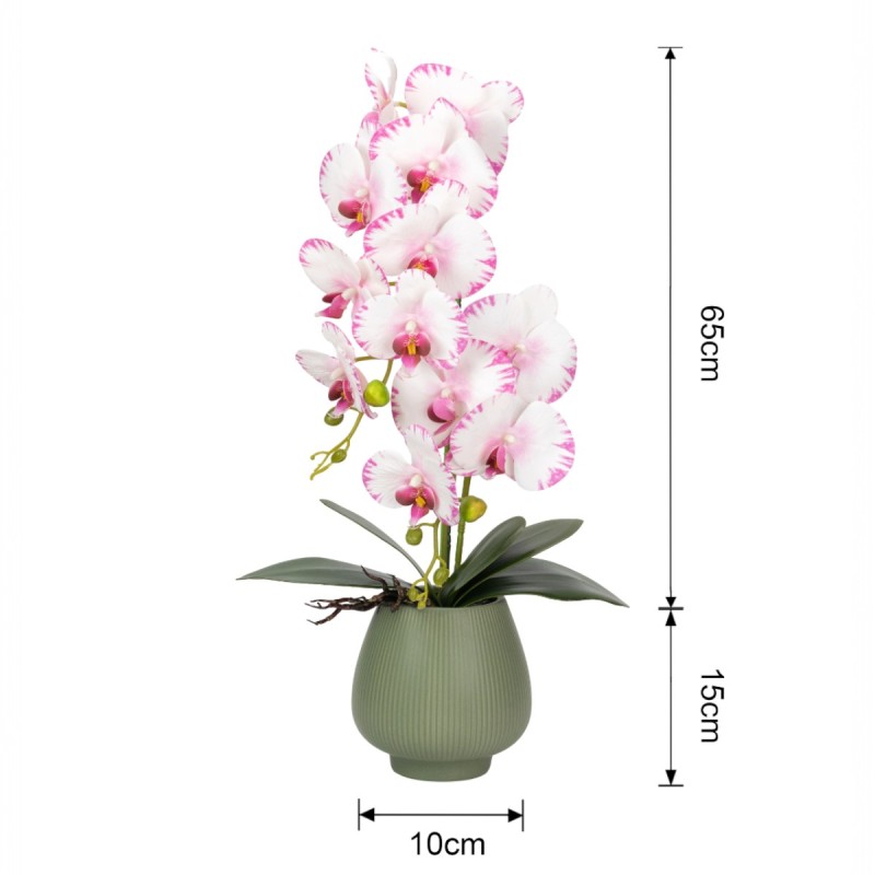 Orhidee cu aspect natural in ghiveci ceramic, 80 cm, Naimeed D6904, Roz/Verde Orhidee cu aspect natural in ghiveci ceramic, 80 cm, Naimeed D6904, Roz/Verde