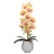 Orhidee cu aspect natural in ghiveci ceramic, 80 cm, Naimeed D6905, Portocaliu pal/Alb