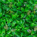 Panou din plante artificiale, cu frunze, Naimeed D5901, Verde Inchis, 600x400mm Panou din plante artificiale, cu frunze, Naimeed D5901, Verde Inchis, 600x400mm