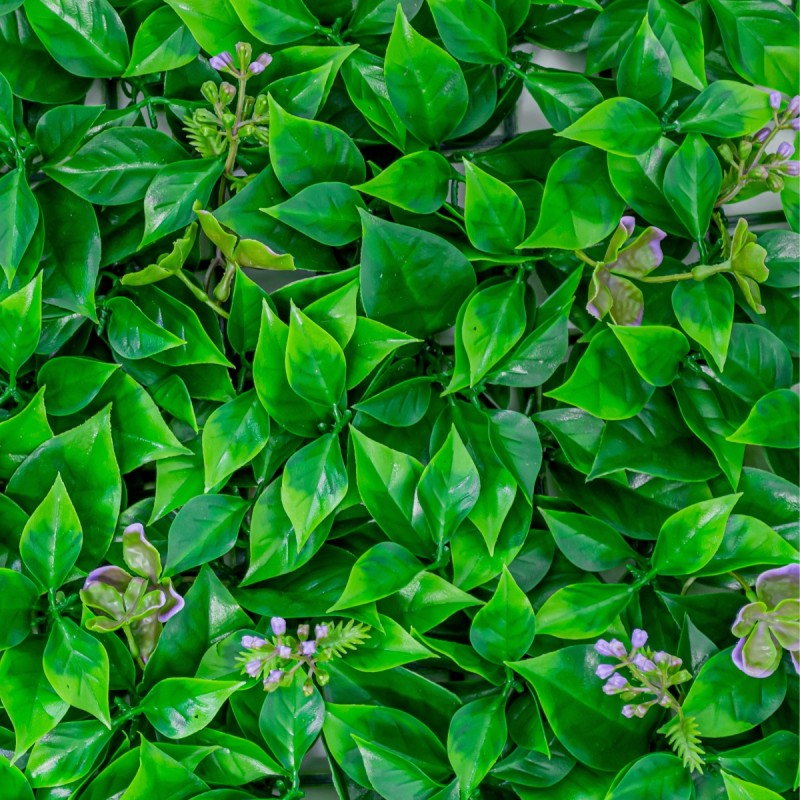Panou din plante artificiale, cu frunze, Naimeed D5901, Verde Inchis, 600x400mm Panou din plante artificiale, cu frunze, Naimeed D5901, Verde Inchis, 600x400mm