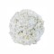 Sfera din plante artificiale, cu flori, Naimeed D5930, Alb, 100mm
