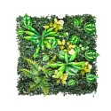 Panou din plante artificiale, cu frunze, Naimeed D7215, Verde, 50X50 cm Panou din plante artificiale, cu frunze, Naimeed D7215, Verde, 50X50 cm
