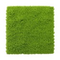 Panou din plante artificiale, Naimeed D7427, Verde, 50x50 cm