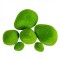 Set 6 x Pietre decorative din polistiren, aspect natural, usor de curatat, Naimeed D6526