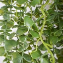 Planta artificiala curgatoare, inaltime 100cm, Naimeed D4858, Verde Inchis Planta artificiala curgatoare, inaltime 100cm, Naimeed D4858, Verde Inchis