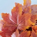 Planta artificiala curgatoare, Naimeed D4954, 1750mm, Portocaliu