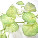 Planta artificiala curgatoare, Naimeed D4990, Verde, 1.7m