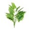 Planta artificiala, fara ghiveci, inaltime 70cm, Naimeed D4992, Verde