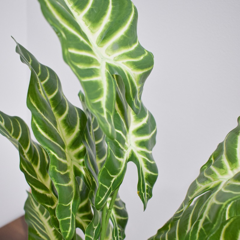Planta artificiala, fara ghiveci, inaltime 60cm, Naimeed D4993, Verde Planta artificiala, fara ghiveci, inaltime 60cm, Naimeed D4993, Verde