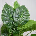 Planta artificiala, fara ghiveci, inaltime 60cm, Naimeed D4994, Verde Planta artificiala, fara ghiveci, inaltime 60cm, Naimeed D4994, Verde