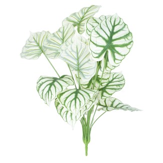 Planta artificiala, fara ghiveci, inaltime 60cm, Naimeed D4995, Verde Planta artificiala, fara ghiveci, inaltime 60cm, Naimeed D4995, Verde