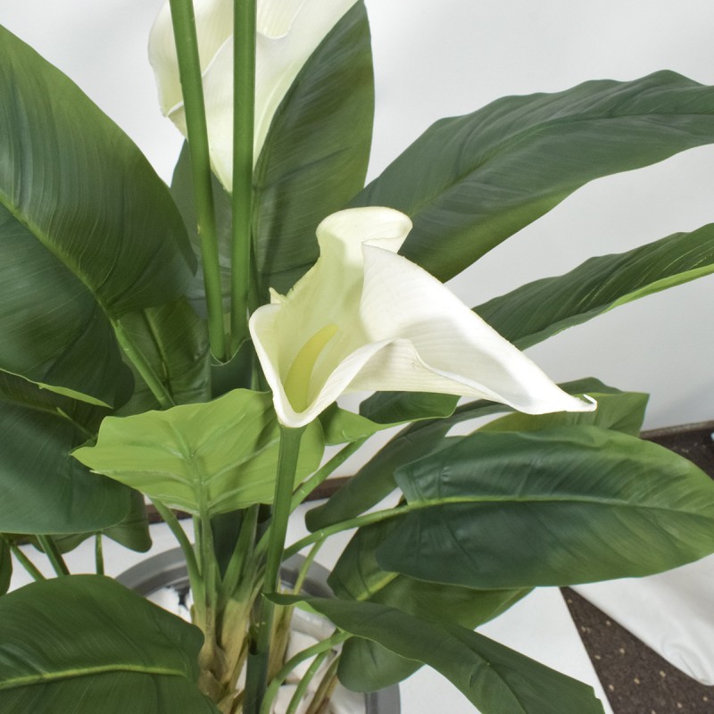 Floare artificiala, Calla fara ghiveci, Naimeed D5600, 113x78 cm, Alb Floare artificiala, Calla fara ghiveci, Naimeed D5600, 113x78 cm, Alb