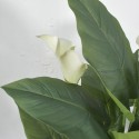 Floare artificiala, Calla fara ghiveci, Naimeed D5600, 113x78 cm, Alb