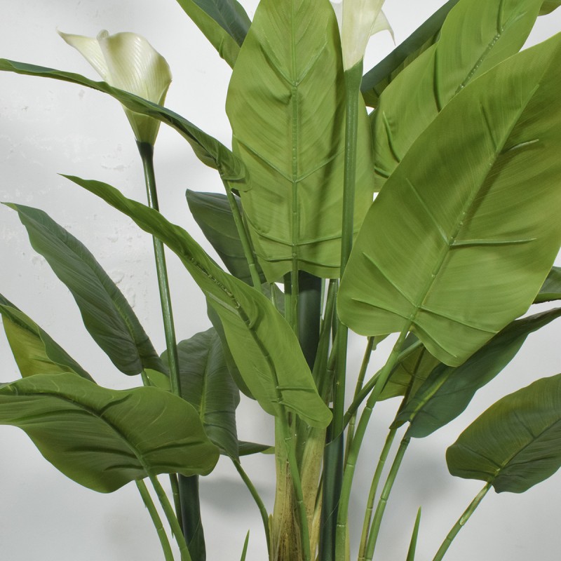 Floare artificiala, Calla fara ghiveci, Naimeed D5600, 113x78 cm, Alb Floare artificiala, Calla fara ghiveci, Naimeed D5600, 113x78 cm, Alb
