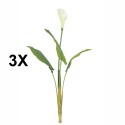 Floare artificiala, Calla fara ghiveci, Naimeed D5600, 113x78 cm, Alb Floare artificiala, Calla fara ghiveci, Naimeed D5600, 113x78 cm, Alb
