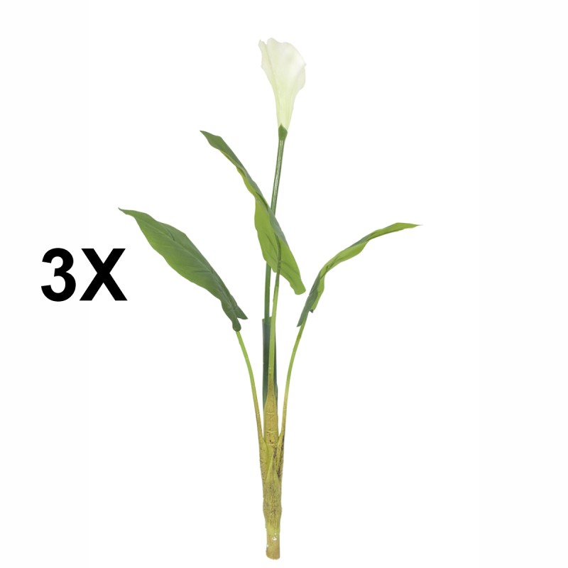 Floare artificiala, Calla fara ghiveci, Naimeed D5600, 113x78 cm, Alb Floare artificiala, Calla fara ghiveci, Naimeed D5600, 113x78 cm, Alb