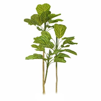 Planta artificiala, Dracaena Marginata fara ghiveci, Naimeed D5601, 115x51 cm, Verde/Galben Planta artificiala, Dracaena Marginata fara ghiveci, Naimeed D5601, 115x51 cm, Verde/Galben