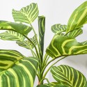 Planta artificiala, Dracaena Marginata fara ghiveci, Naimeed D5601, 115x51 cm, Verde/Galben