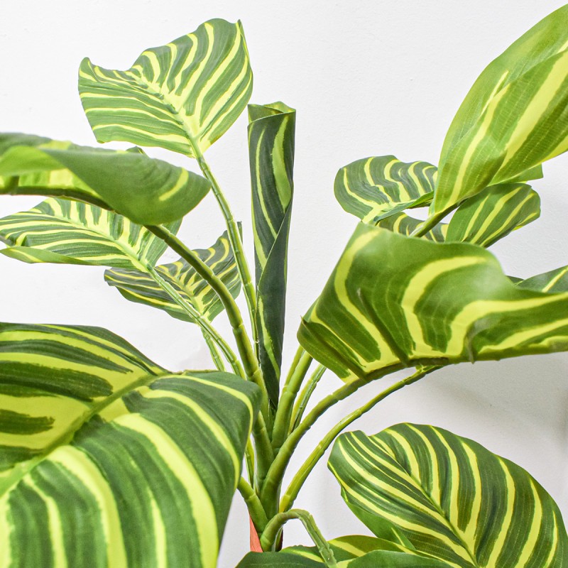 Planta artificiala, Dracaena Marginata fara ghiveci, Naimeed D5601, 115x51 cm, Verde/Galben