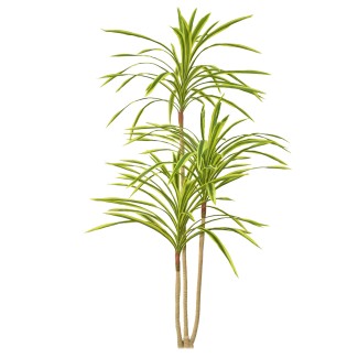 Planta artificiala, Dracaena Marginata fara ghiveci, Naimeed D5604, 175x78 cm, Verde Galbui Planta artificiala, Dracaena Marginata fara ghiveci, Naimeed D5604, 175x78 cm, Verde Galbui